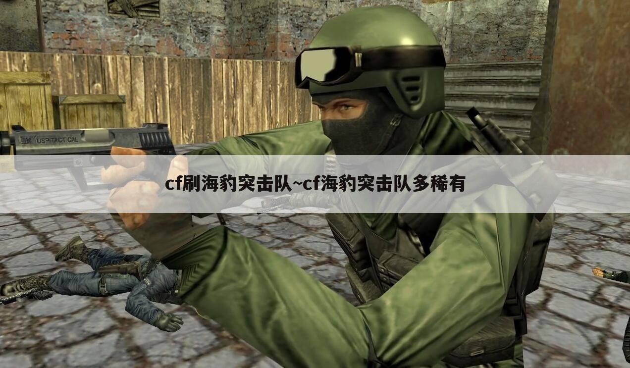 cf刷海豹突击队~cf海豹突击队多稀有