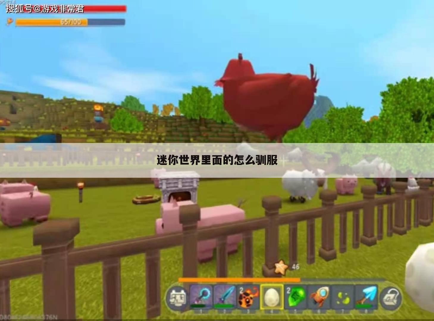 迷你世界里面的怎么驯服