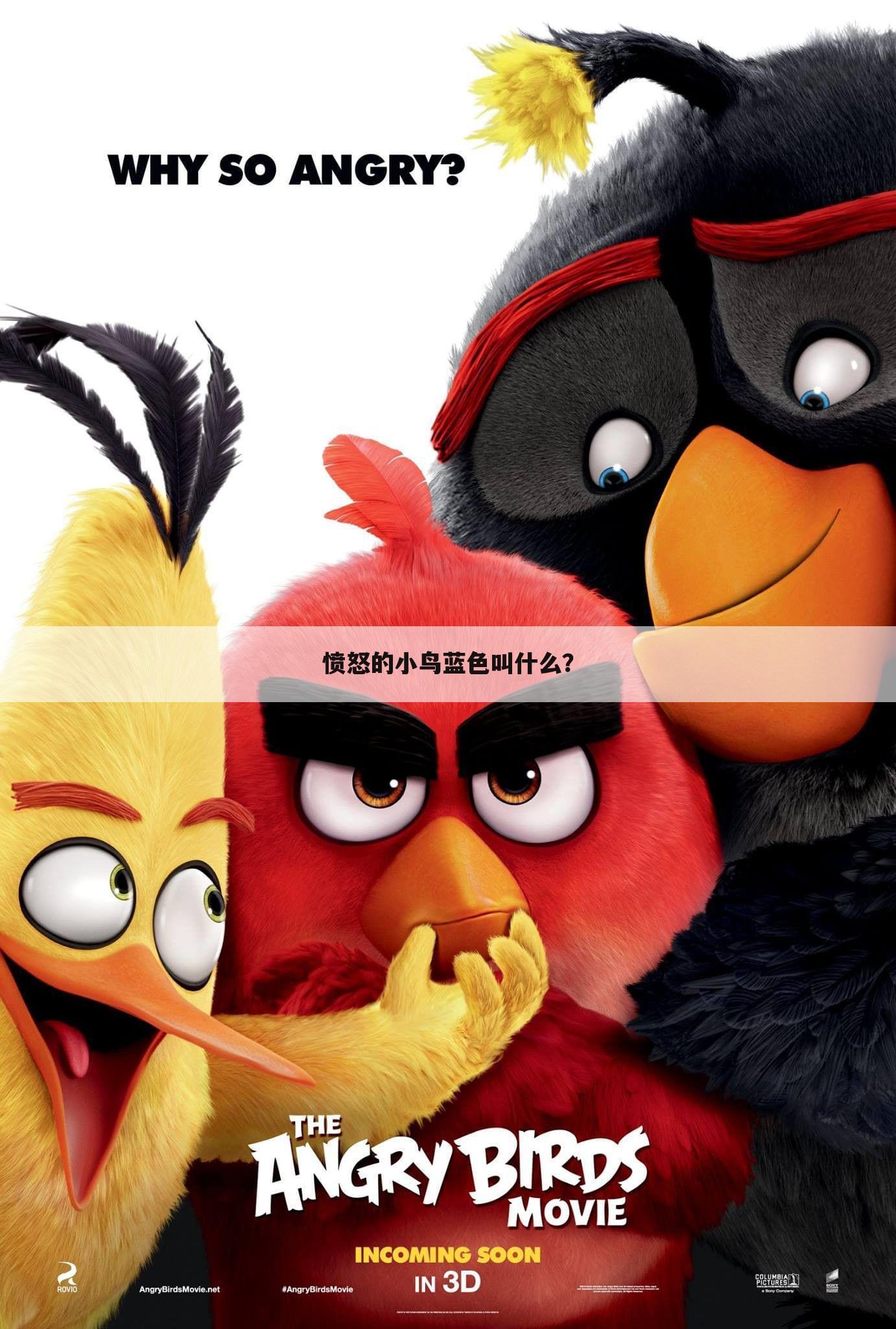 愤怒的小鸟蓝色叫什么?