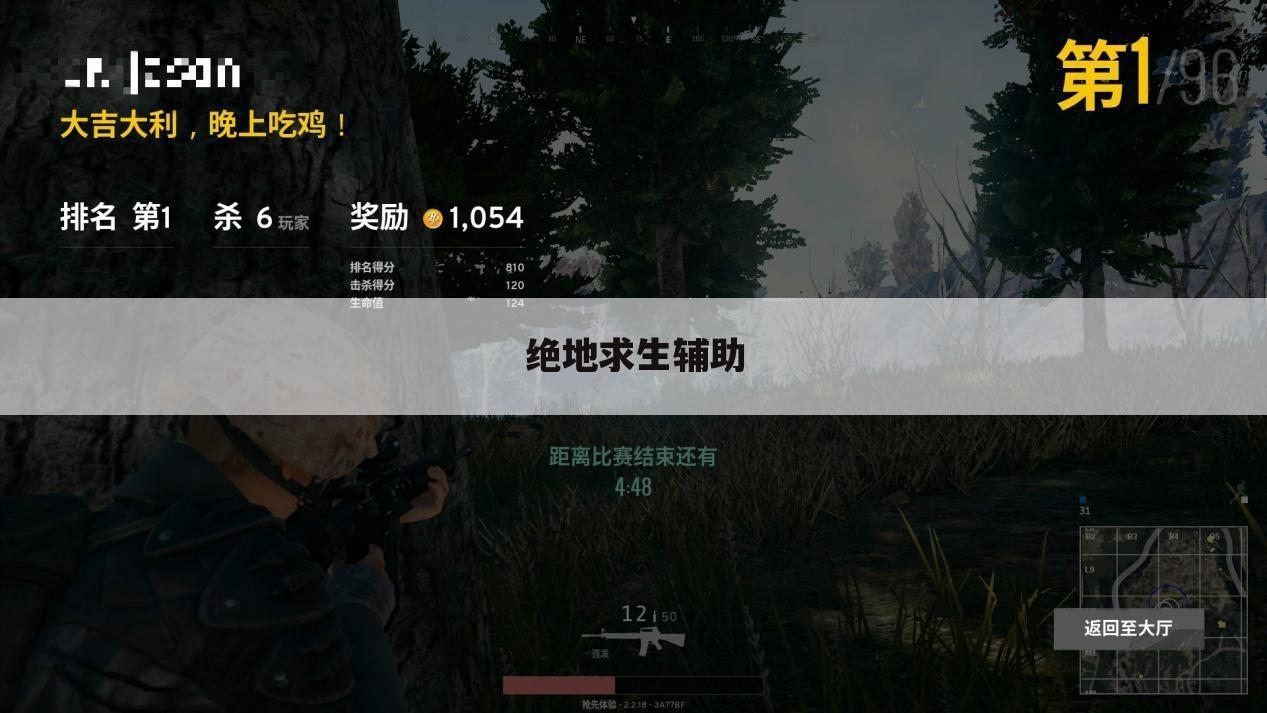 绝地求生辅助