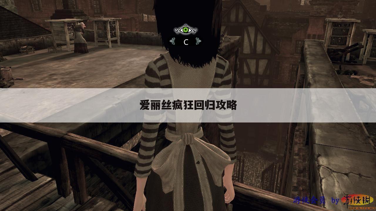 爱丽丝疯狂回归攻略