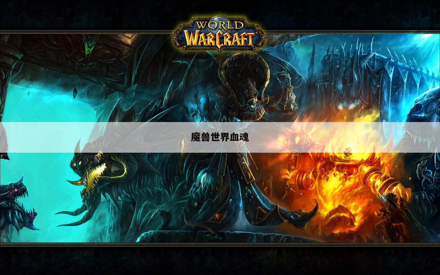 魔兽世界血魂