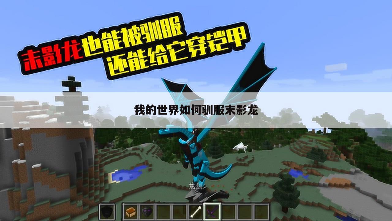 我的世界如何驯服末影龙