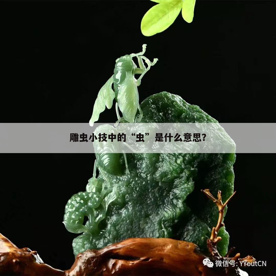 雕虫小技中的“虫”是什么意思？