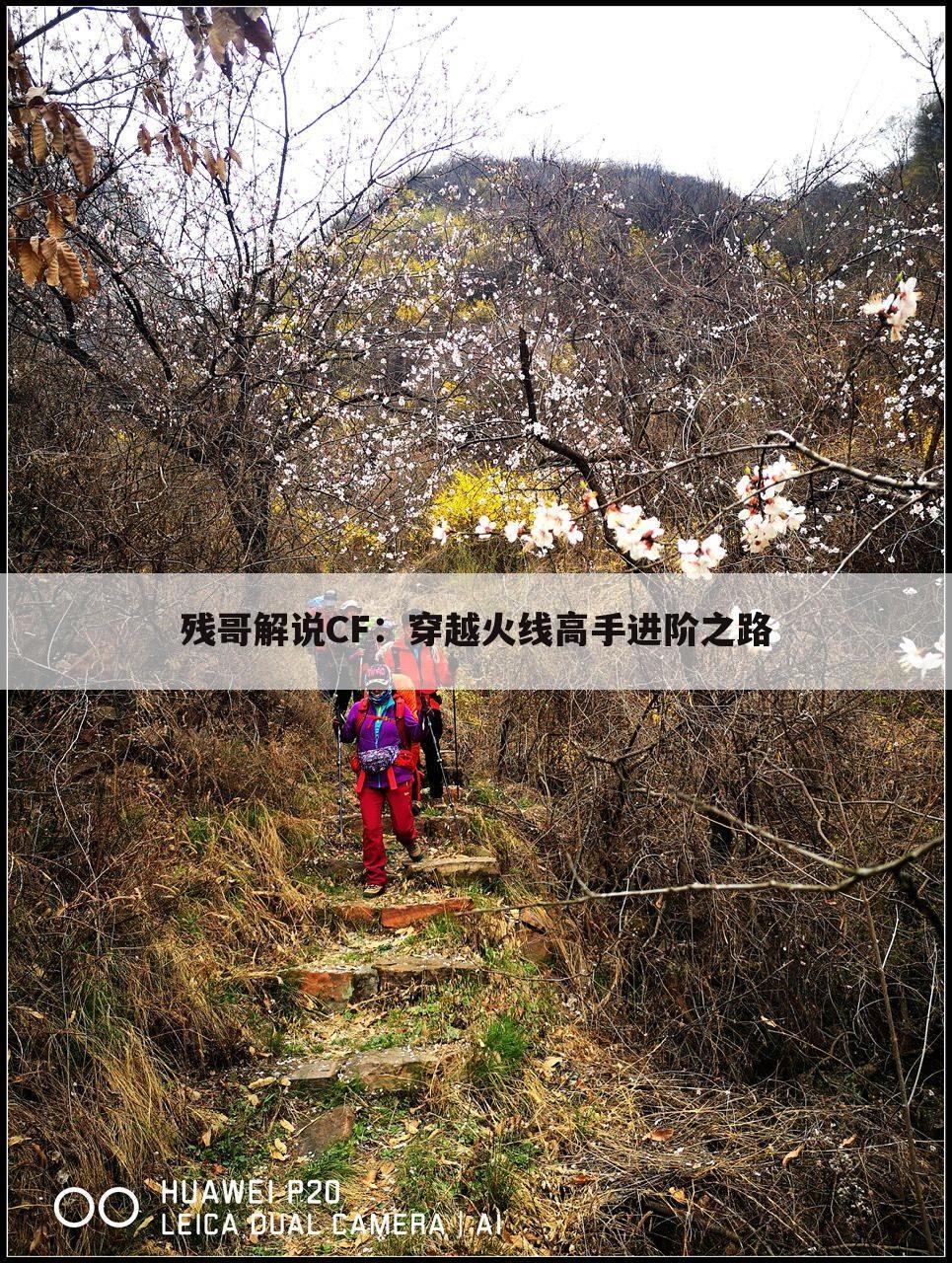 残哥解说CF：穿越火线高手进阶之路