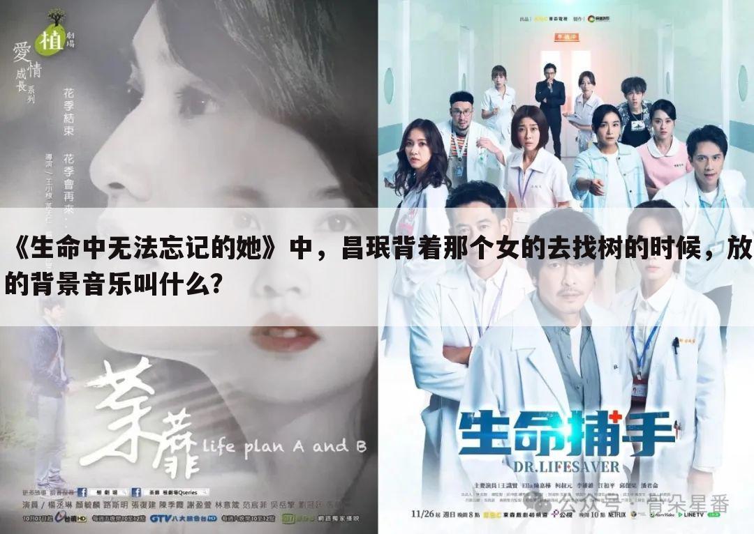 《生命中无法忘记的她》中,昌珉背着那个女的去找树的时候,放的背景音乐叫什么?