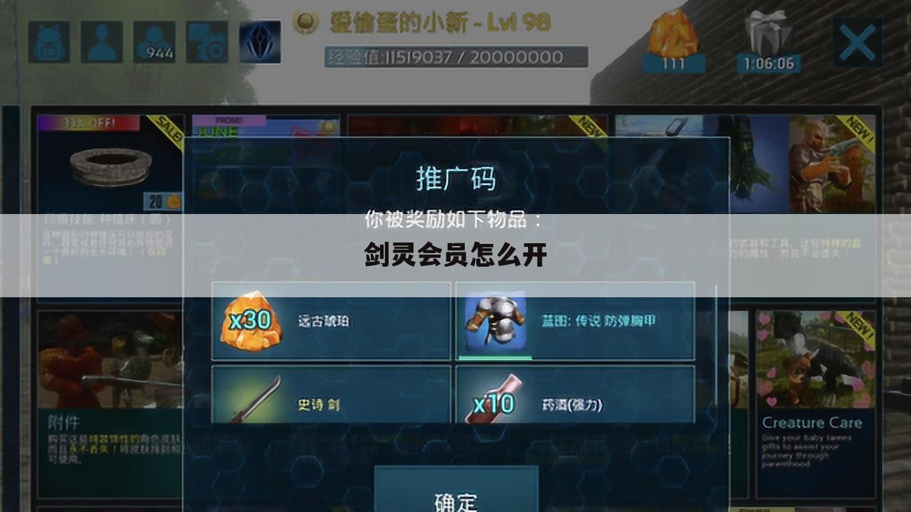 剑灵会员怎么开