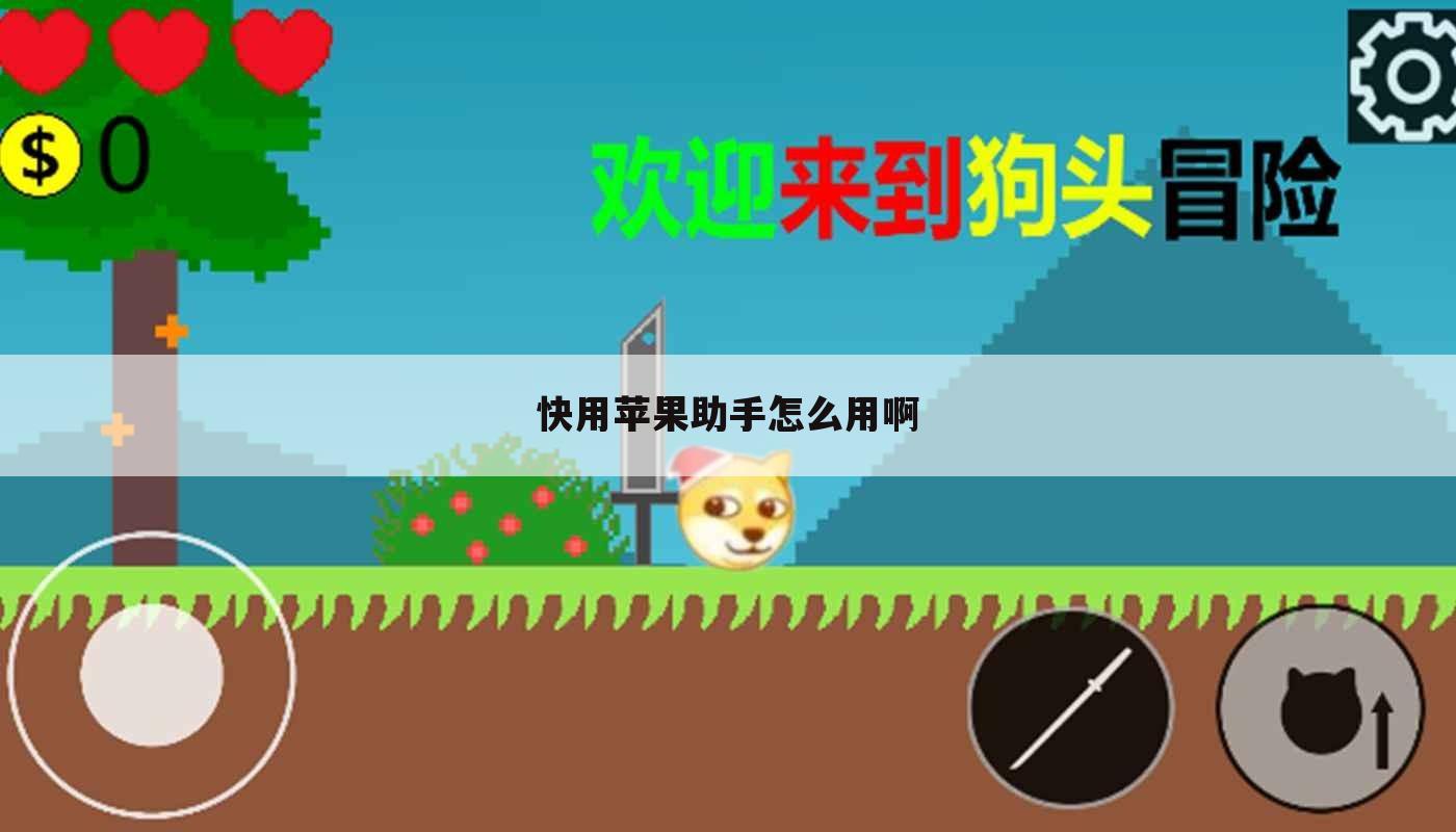快用苹果助手怎么用啊