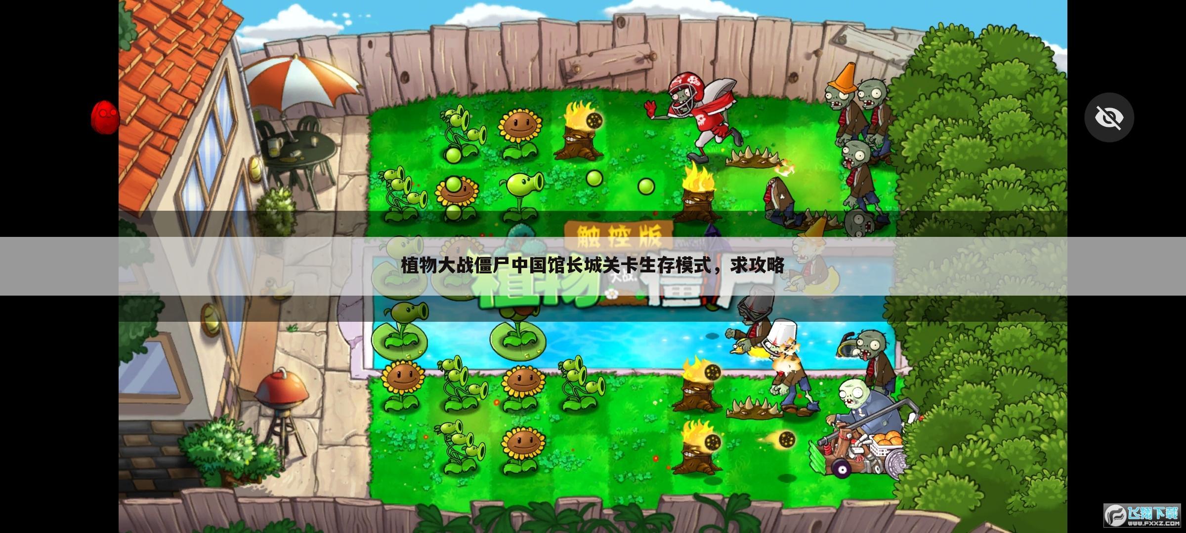 植物大战僵尸中国馆长城关卡生存模式,求攻略
