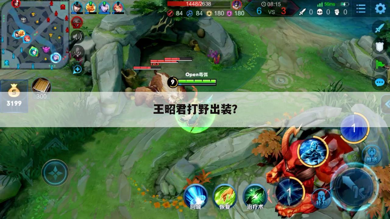 王昭君打野出装?