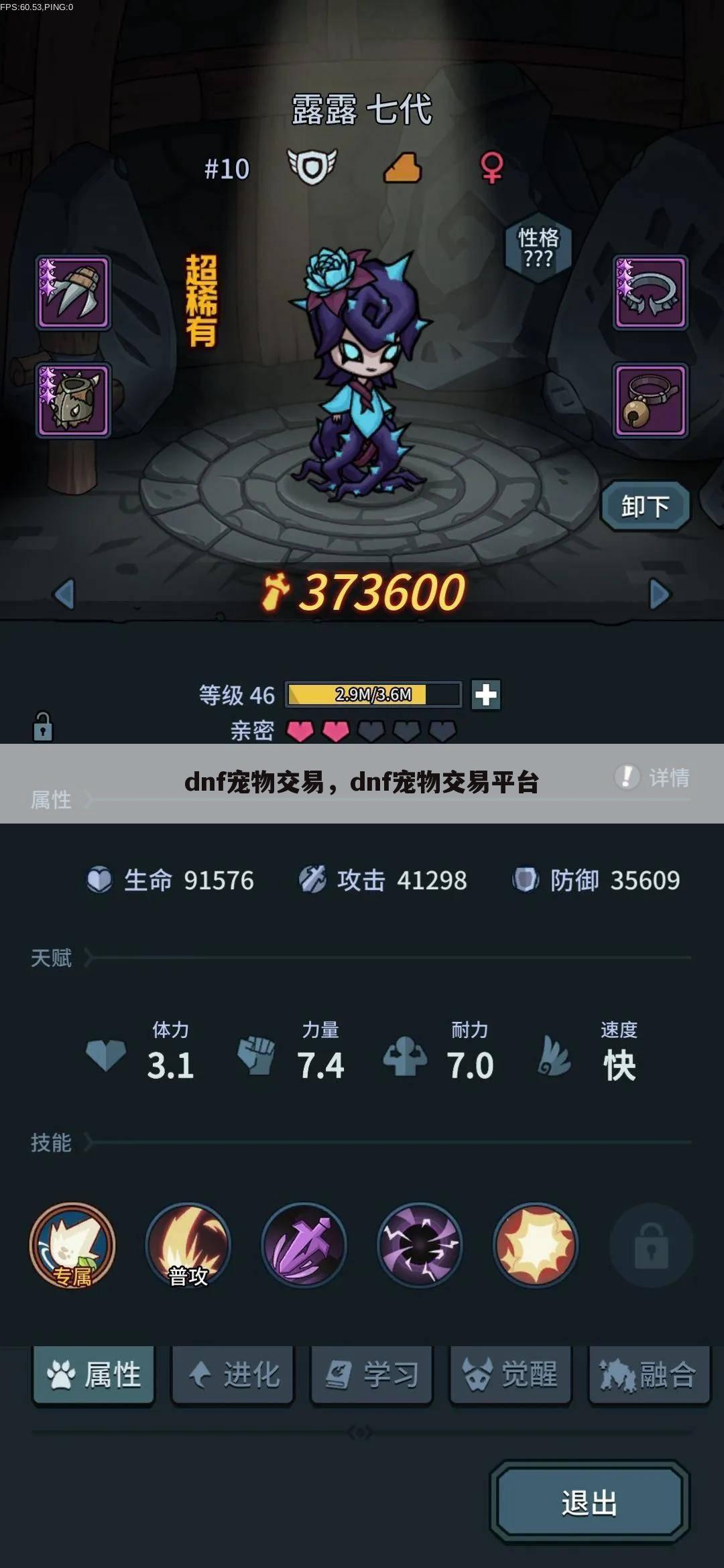 dnf宠物交易，dnf宠物交易平台