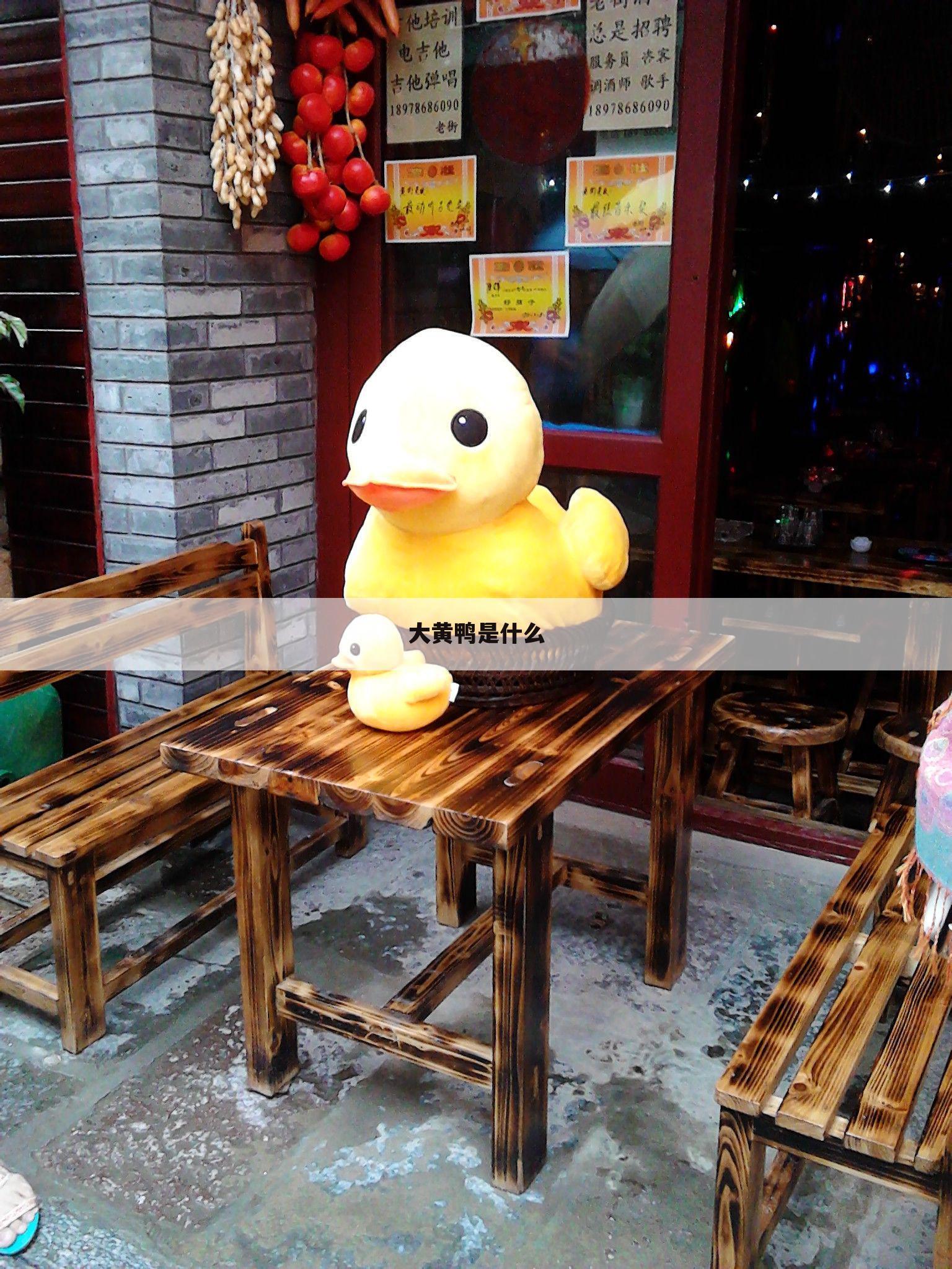 大黄鸭是什么
