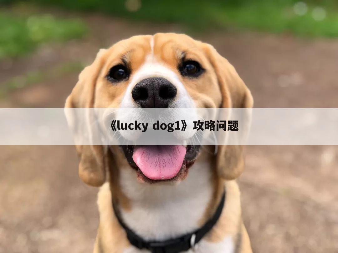 《lucky dog1》攻略问题