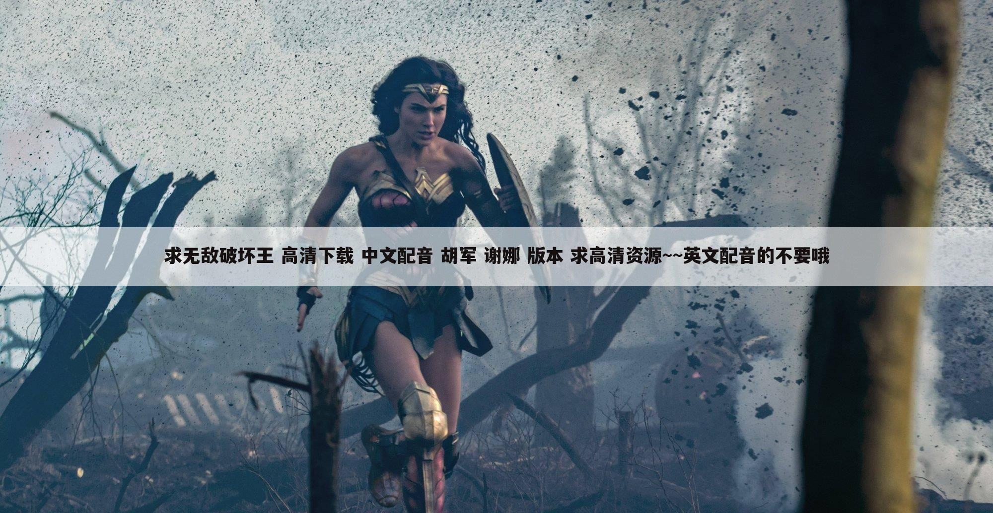 求无敌破坏王 高清下载 中文配音 胡军 谢娜 版本 求高清资源~~英文配音的不要哦