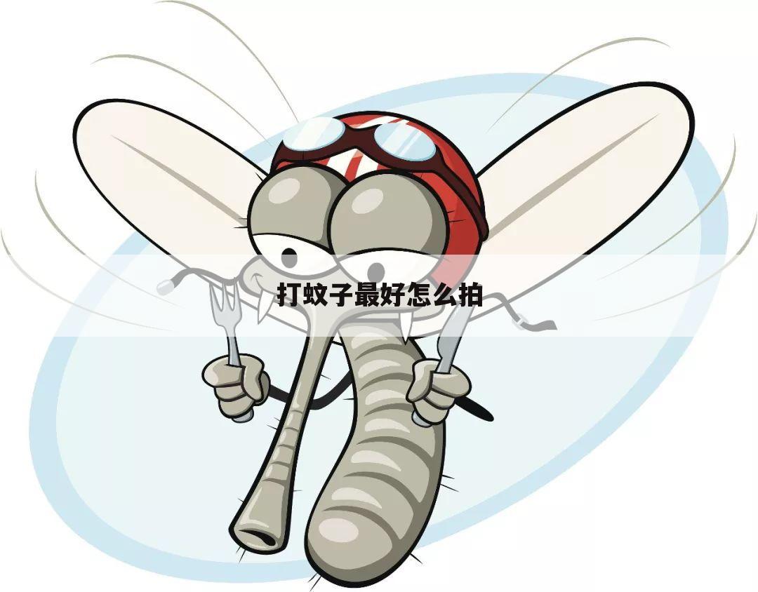 打蚊子最好怎么拍
