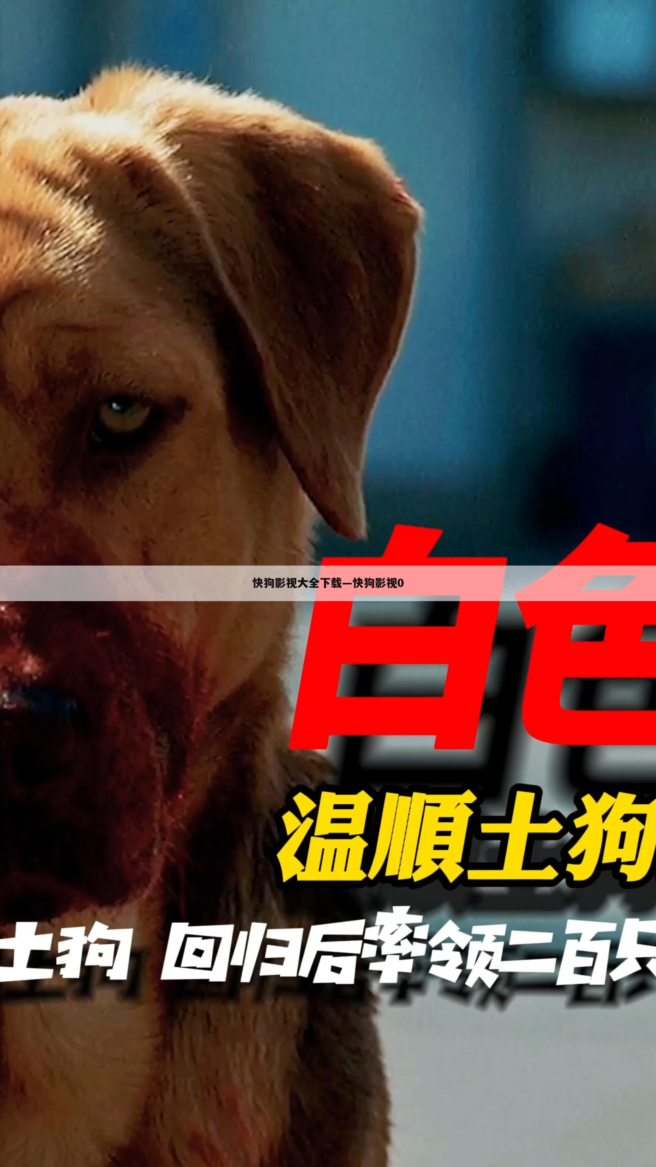 快狗影视大全下载—快狗影视0