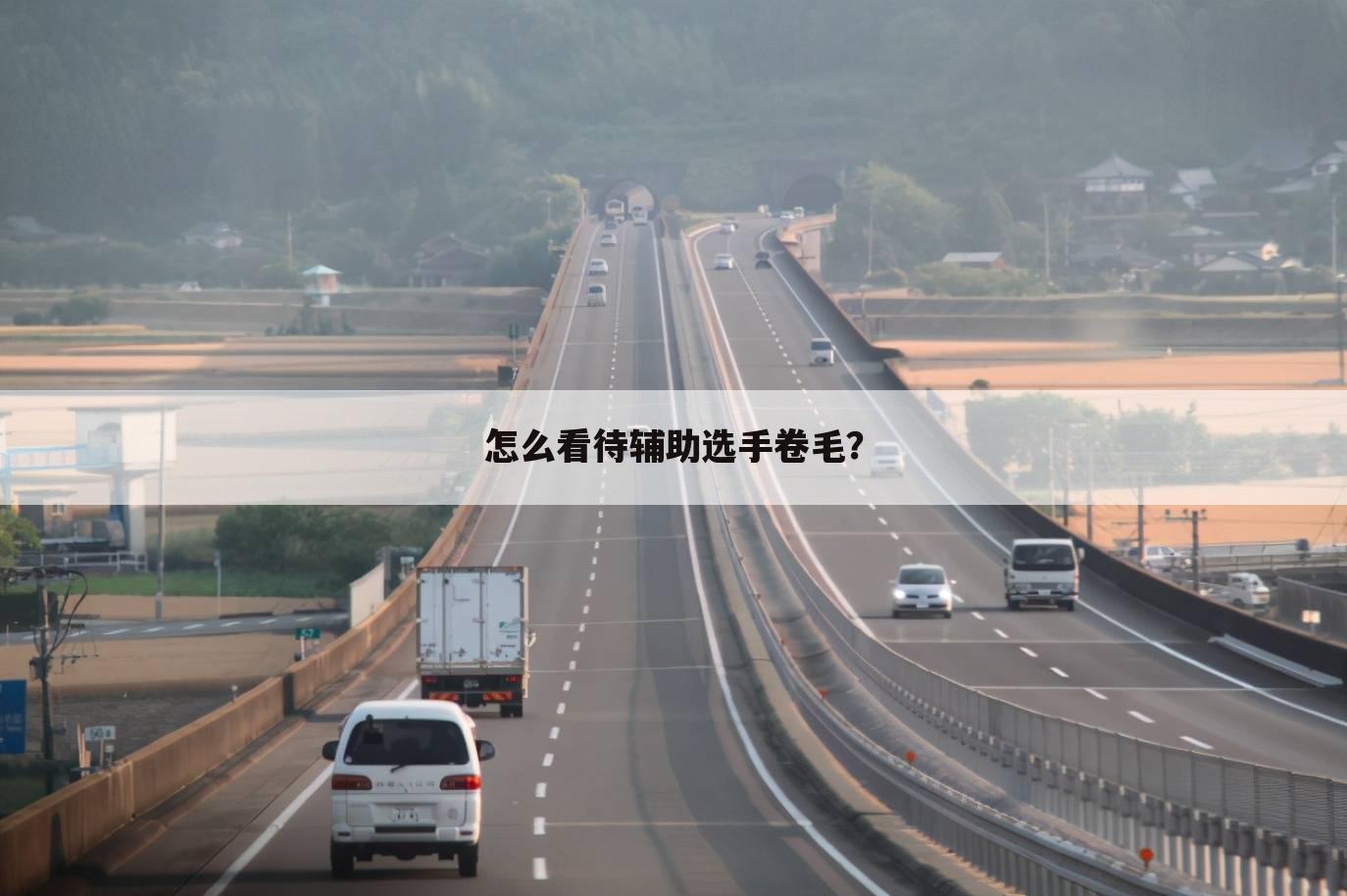 怎么看待辅助选手卷毛?