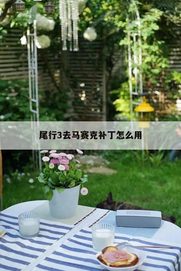 尾行3去马赛克补丁怎么用