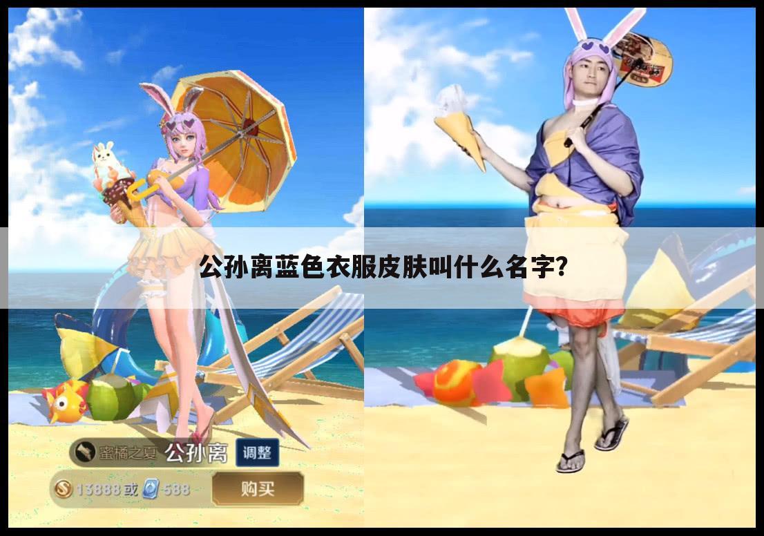 公孙离蓝色衣服皮肤叫什么名字？