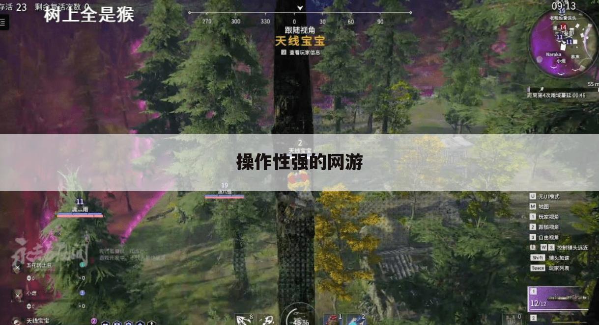操作性强的网游