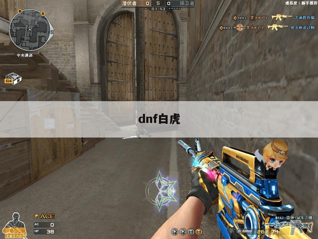 dnf白虎