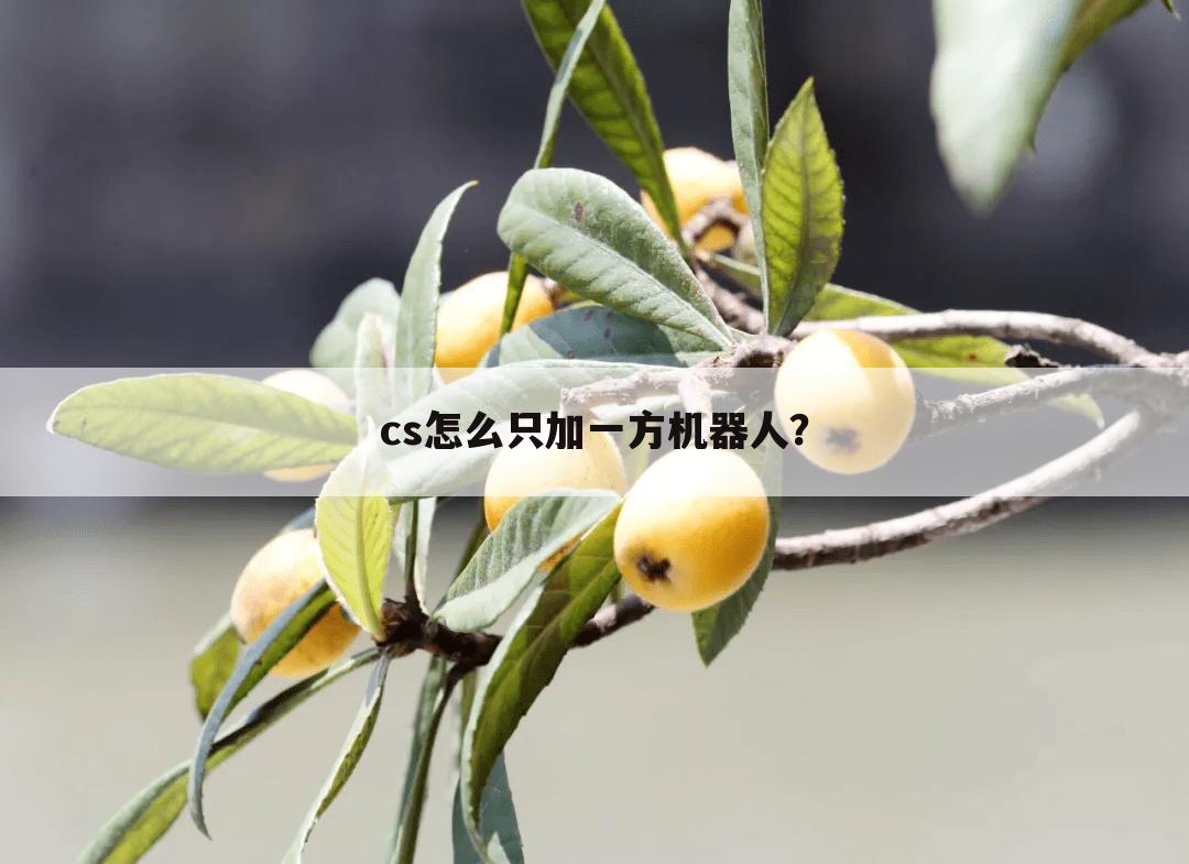 cs怎么只加一方机器人？