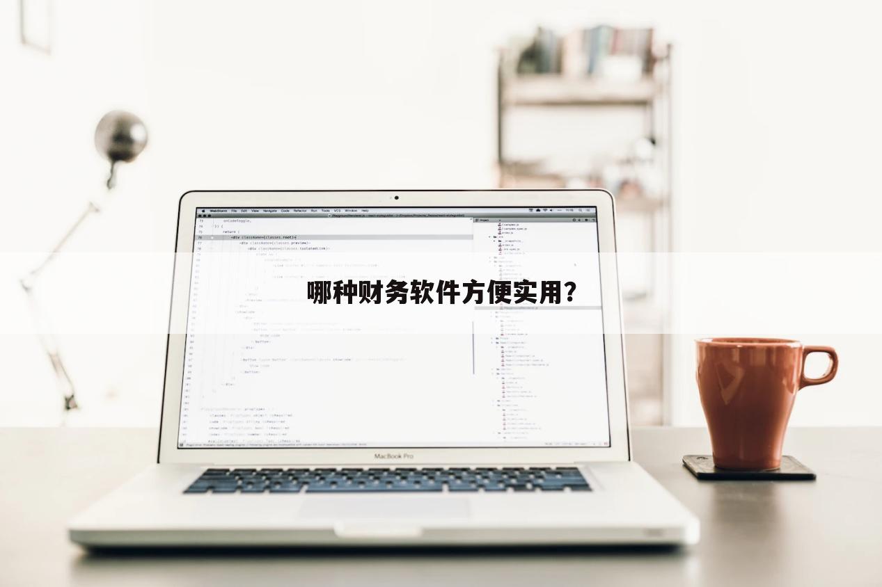 哪种财务软件方便实用?