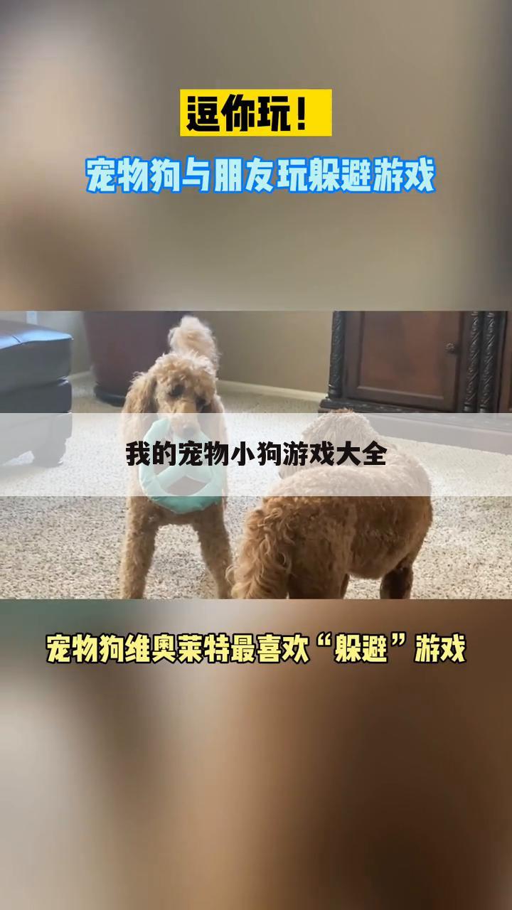 我的宠物小狗游戏大全