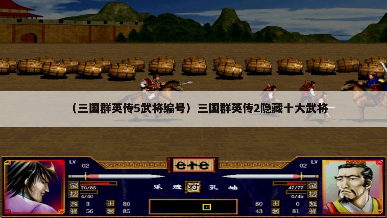 （三国群英传5武将编号）三国群英传2隐藏十大武将