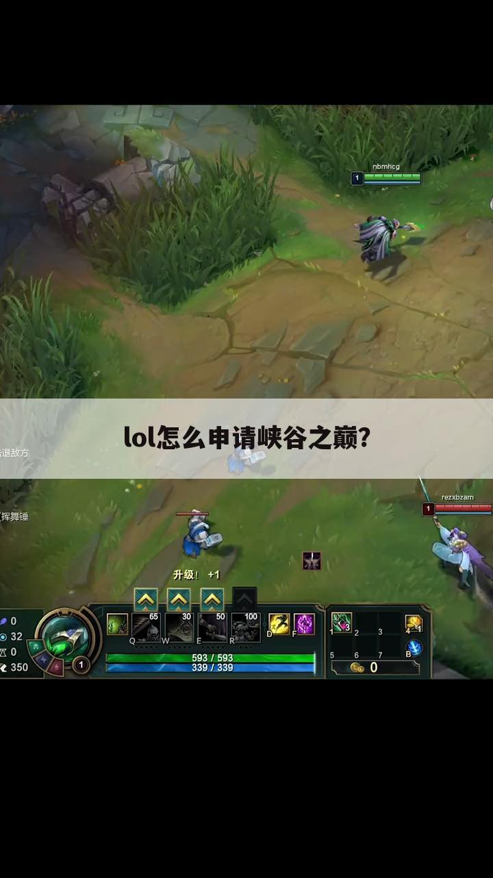 lol怎么申请峡谷之巅?