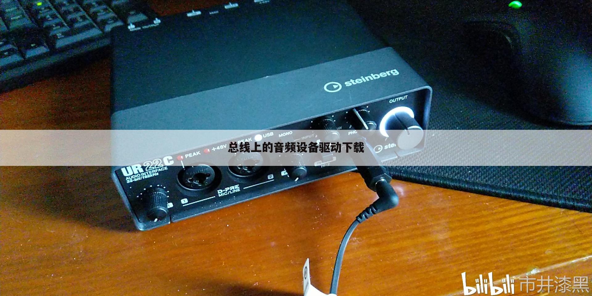 总线上的音频设备驱动下载