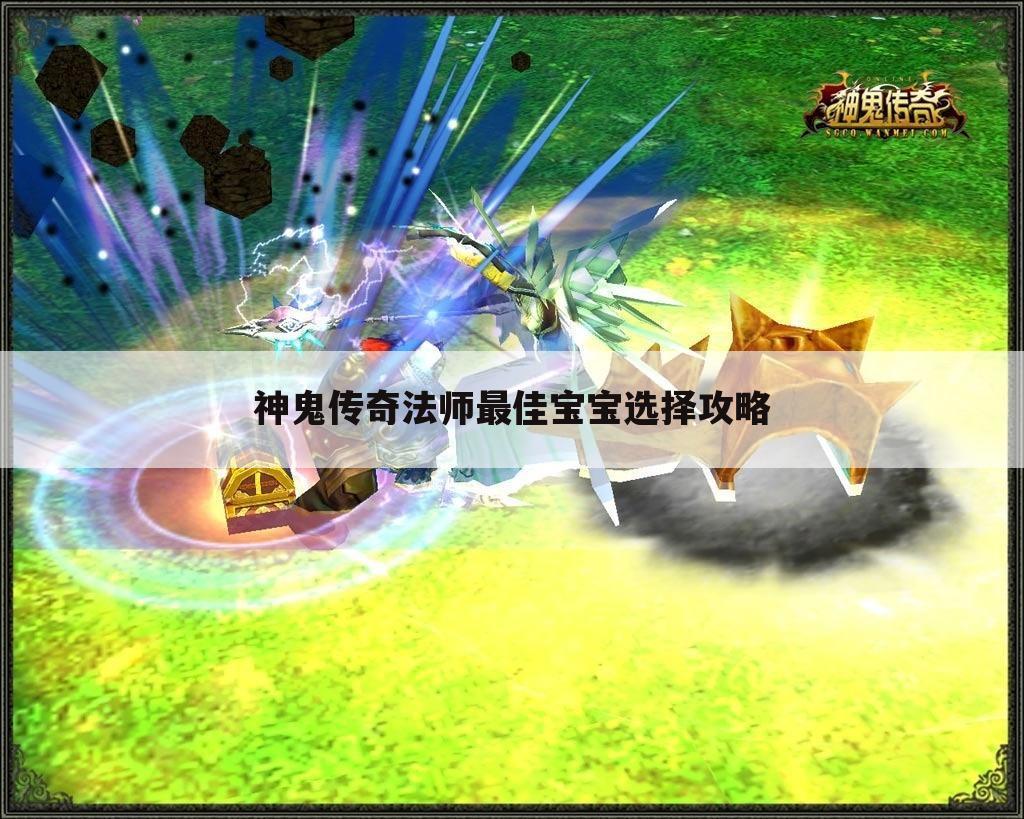 神鬼传奇法师最佳宝宝选择攻略