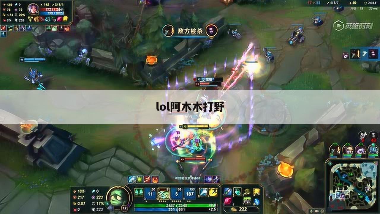 lol阿木木打野