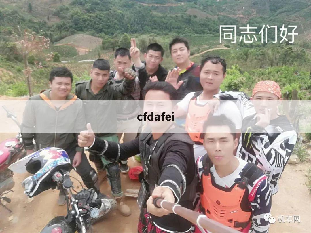 cfdafei
