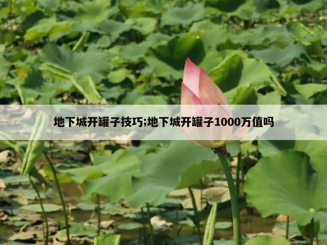 地下城开罐子技巧;地下城开罐子1000万值吗