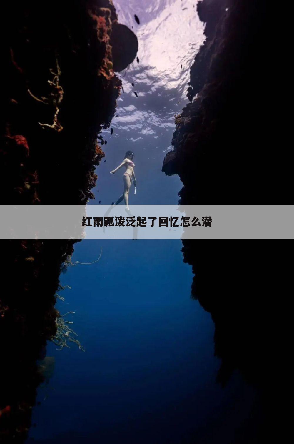红雨瓢泼泛起了回忆怎么潜