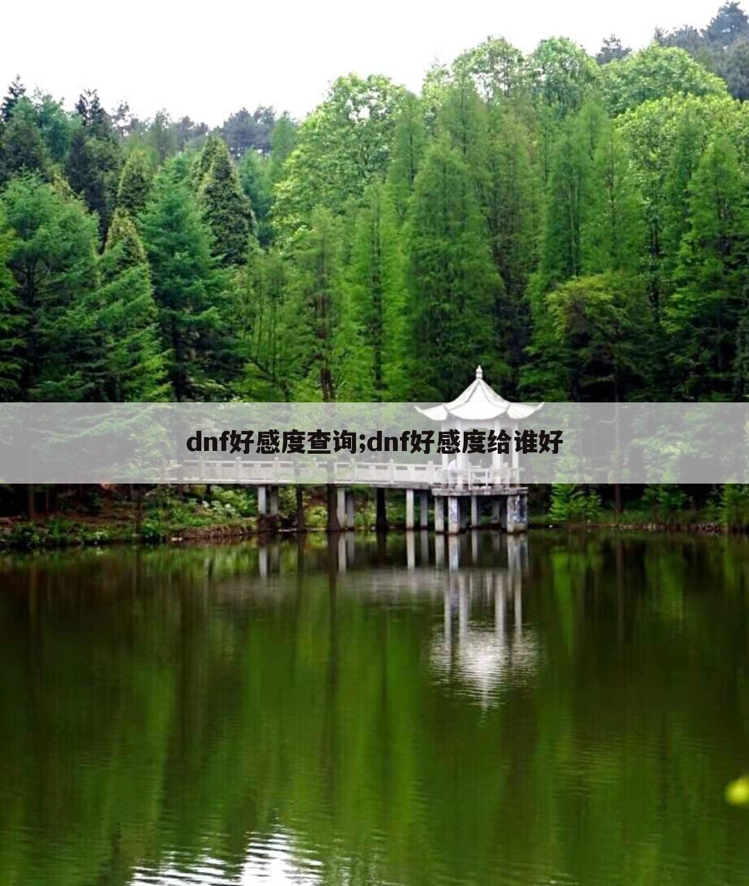 dnf好感度查询;dnf好感度给谁好