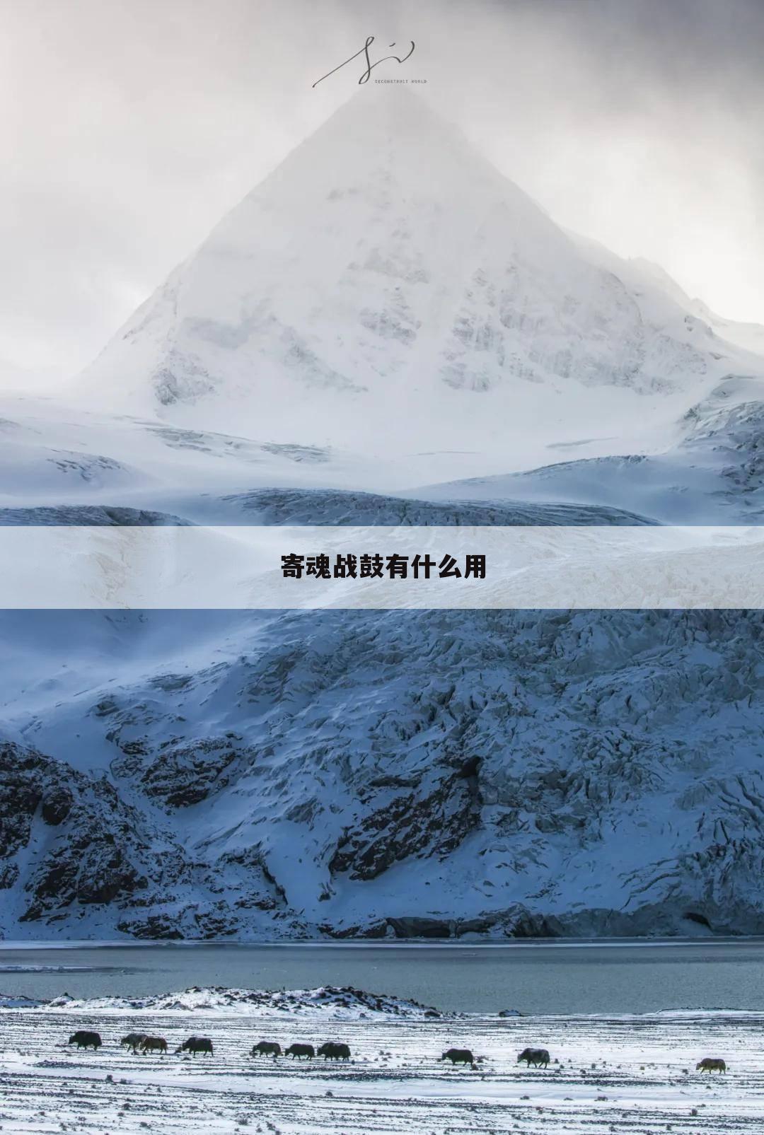 寄魂战鼓有什么用