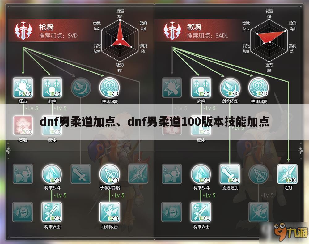 dnf男柔道加点、dnf男柔道100版本技能加点