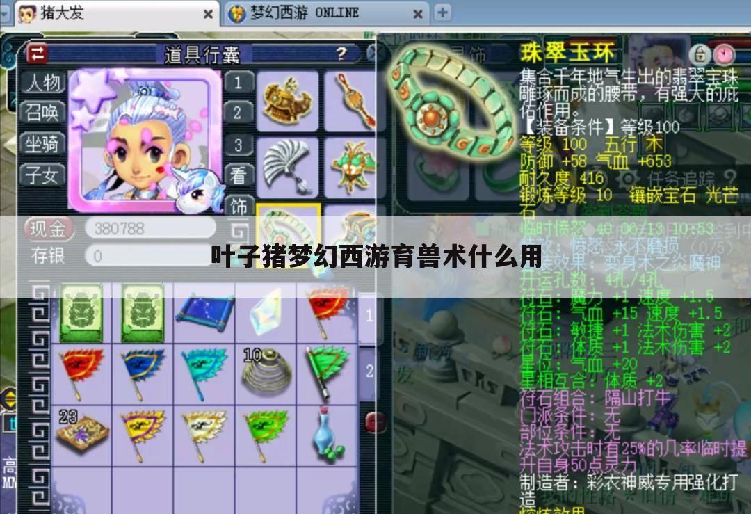 叶子猪梦幻西游育兽术什么用