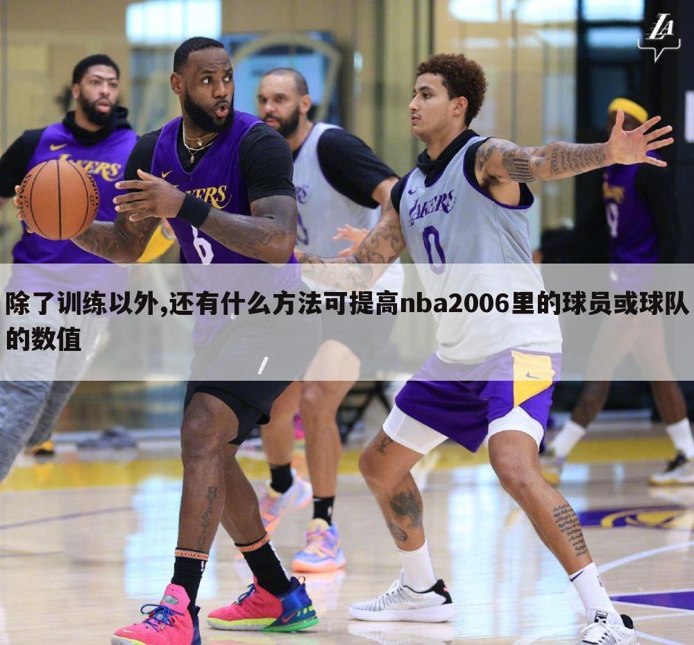 除了训练以外,还有什么方法可提高nba2006里的球员或球队的数值