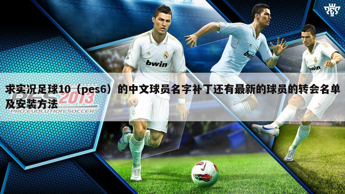 求实况足球10(pes6)的中文球员名字补丁还有最新的球员的转会名单及安装方法