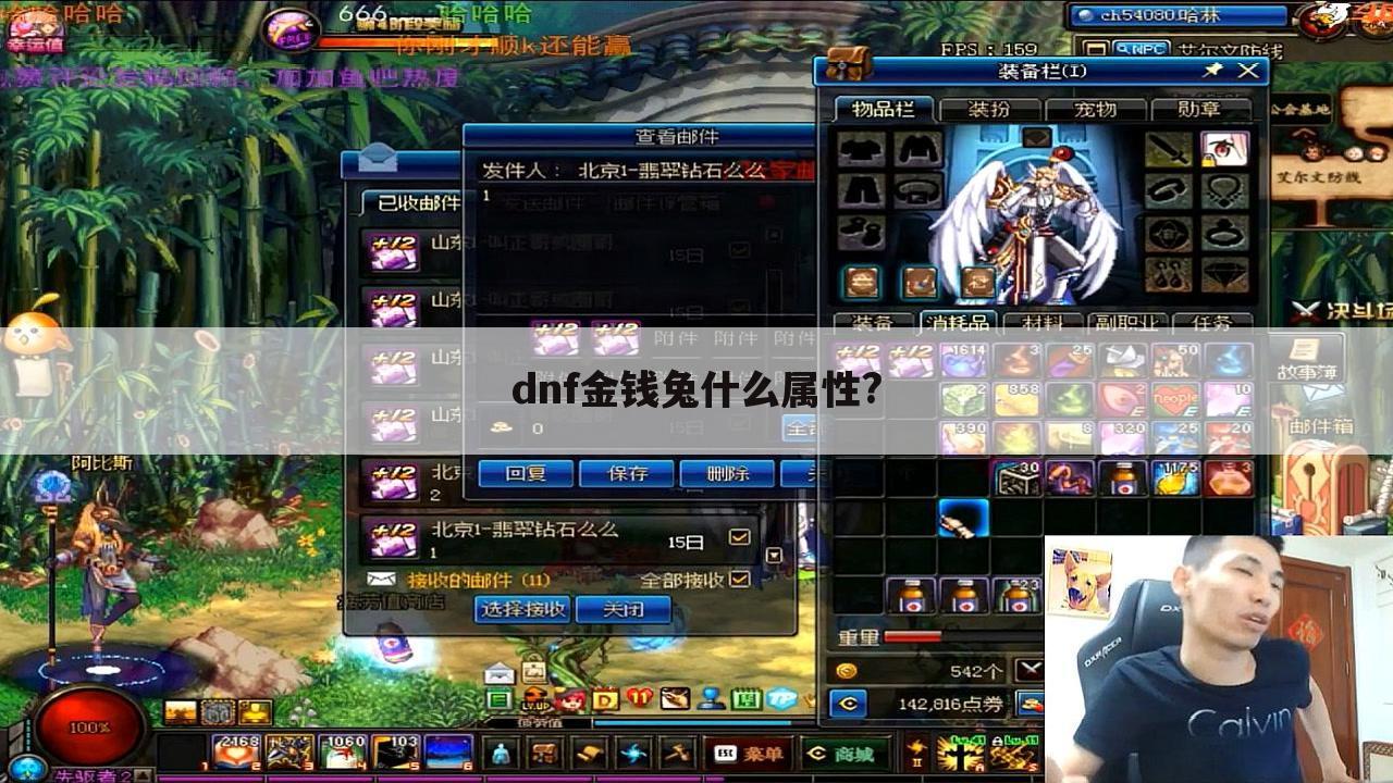 dnf金钱兔什么属性?