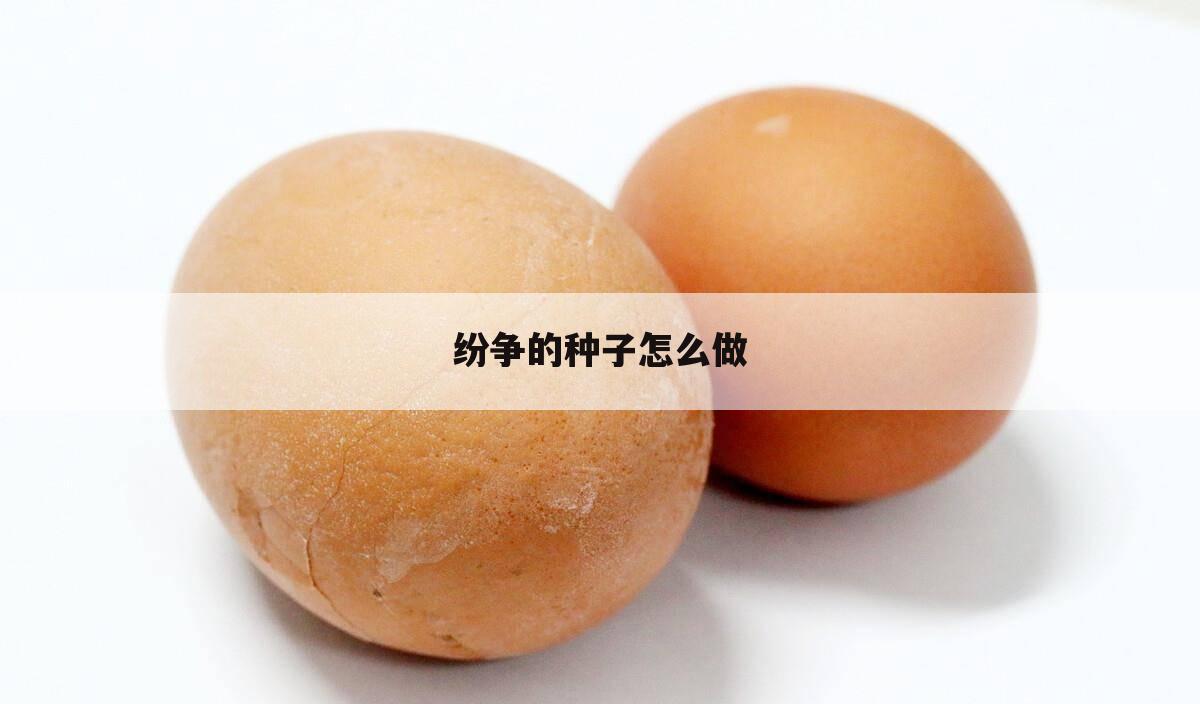 纷争的种子怎么做