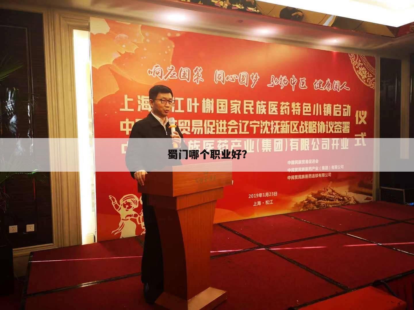 蜀门哪个职业好?