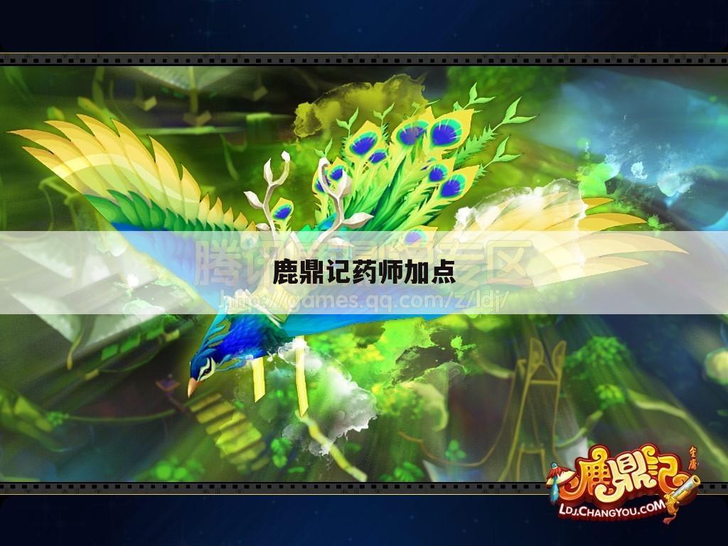 鹿鼎记药师加点