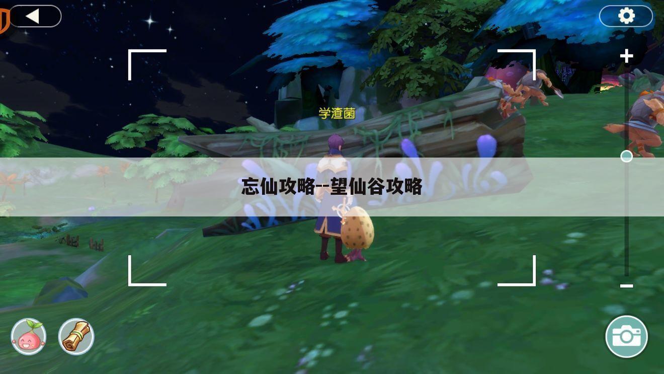 忘仙攻略--望仙谷攻略