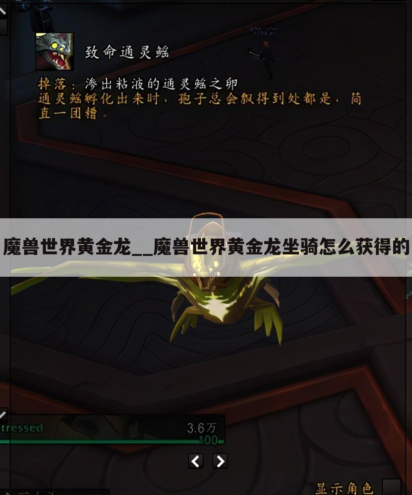 魔兽世界黄金龙__魔兽世界黄金龙坐骑怎么获得的