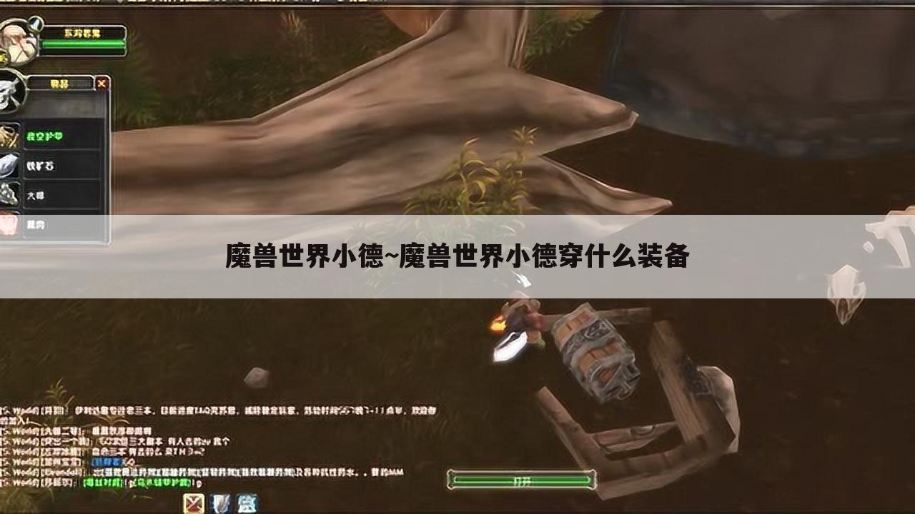 魔兽世界小德~魔兽世界小德穿什么装备