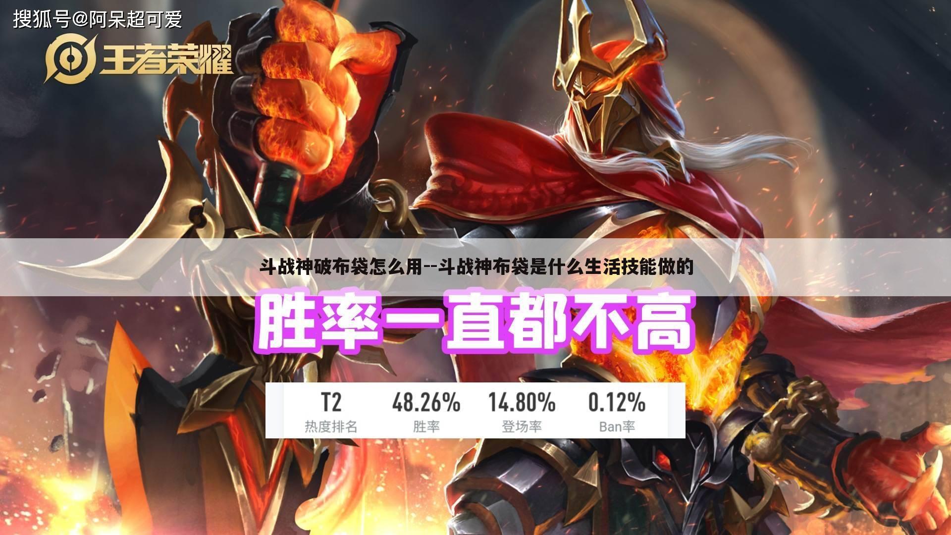 斗战神破布袋怎么用--斗战神布袋是什么生活技能做的